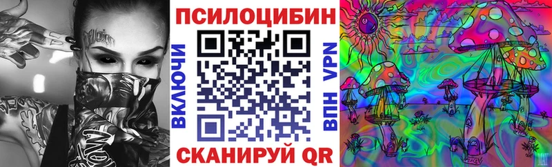 Купить где  Стародуб  Галлюциногенные грибы Magic Shrooms 